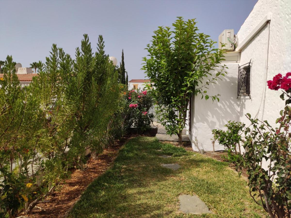 Lovely 2 Bedroom Bungalow With Parking マスパロマス エクステリア 写真